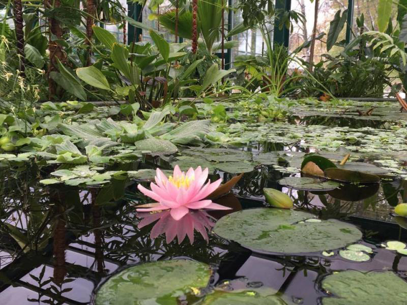 �� �������� ��������� ��������� � ������������ ������� ������������ ������ ������ �������