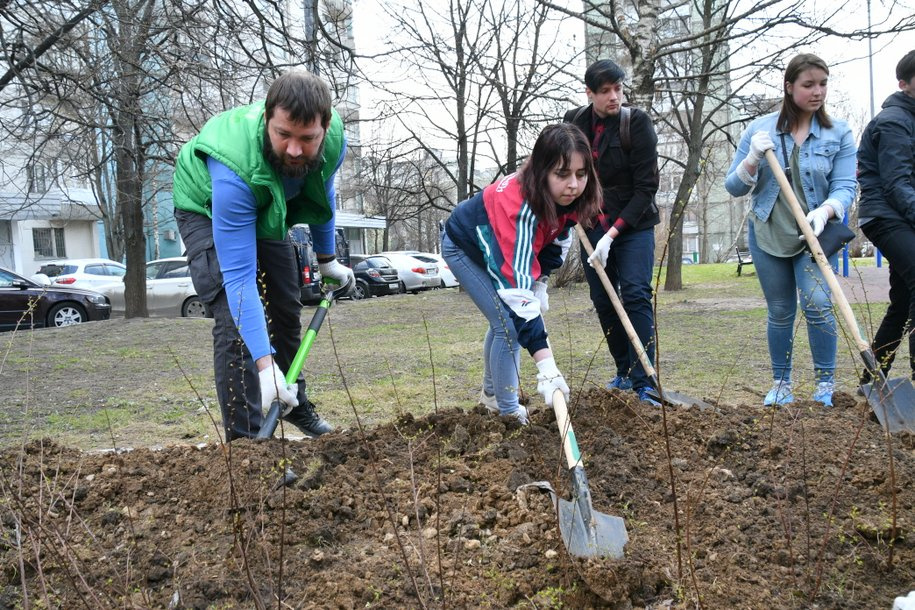 ���������� � ����������