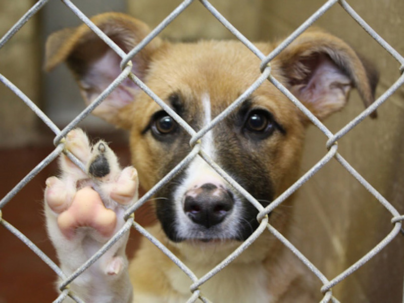 � ������ �������� ����� ����� ����� ��� ��������, ������� ��������� � ������