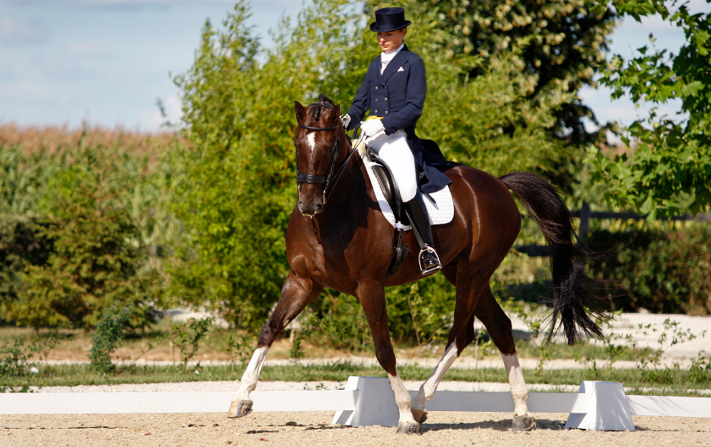 ������ �������? ��� � ����������