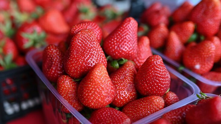 ������ ���������� �������� ��������� �� ������� ��������� ��� � �������