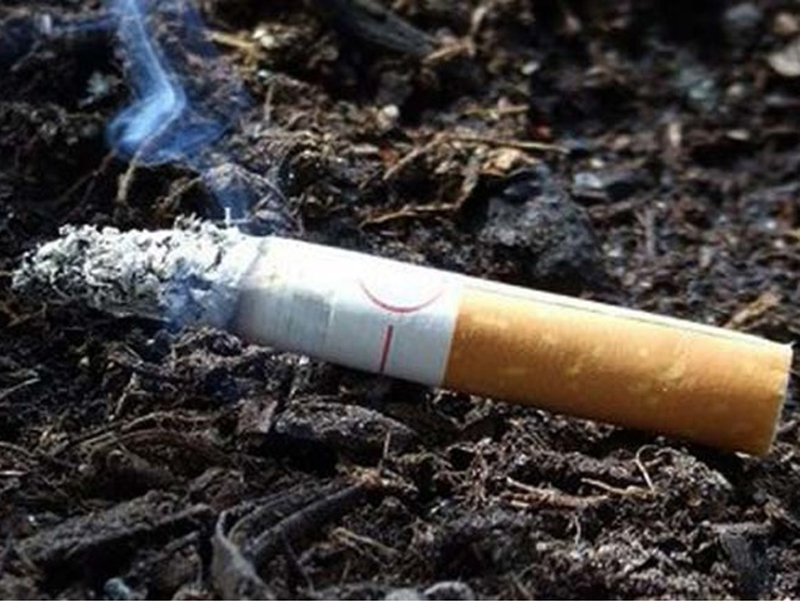 � ������� ����������� ���������� �� ��������� ���� ���� ������