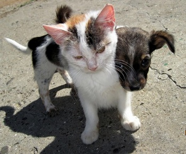 ��������� ��������� �������� ������� � ����� "�����"