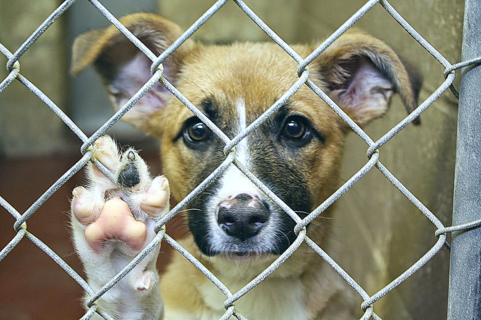 � ����� ������ ��������� ��� ����� ����� ���������