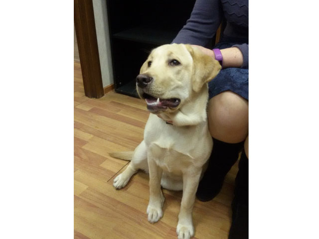 �������� ��������� ������ ������ � ����������� ������