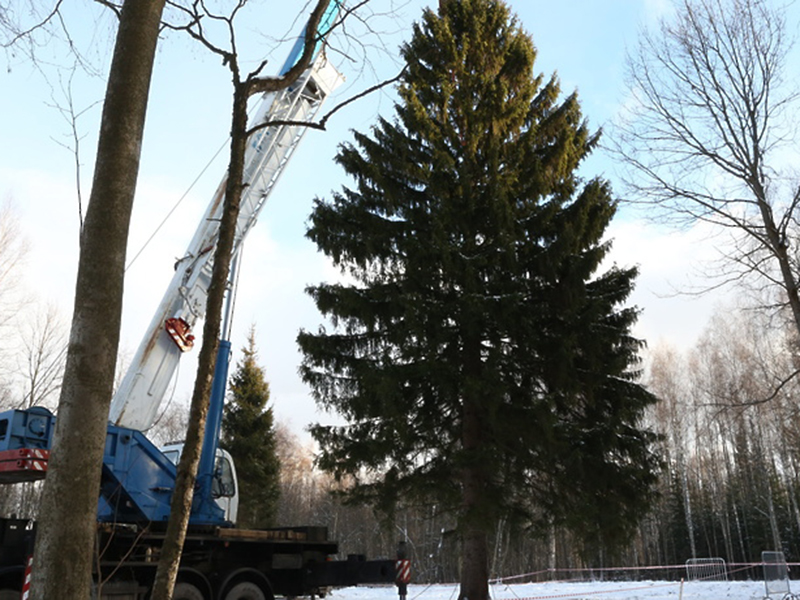 � ���������� ������ ��������� ����� ������� ���� ������