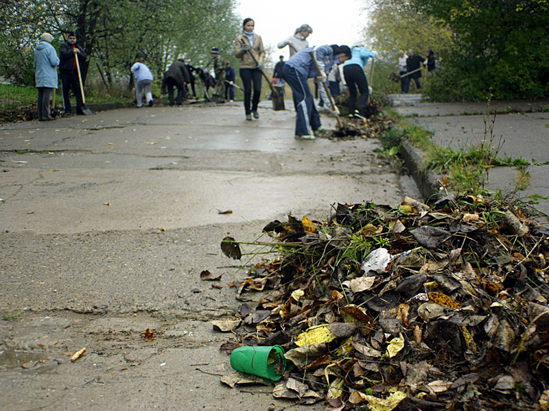 ������� ������ ������� ���������� �� ���������