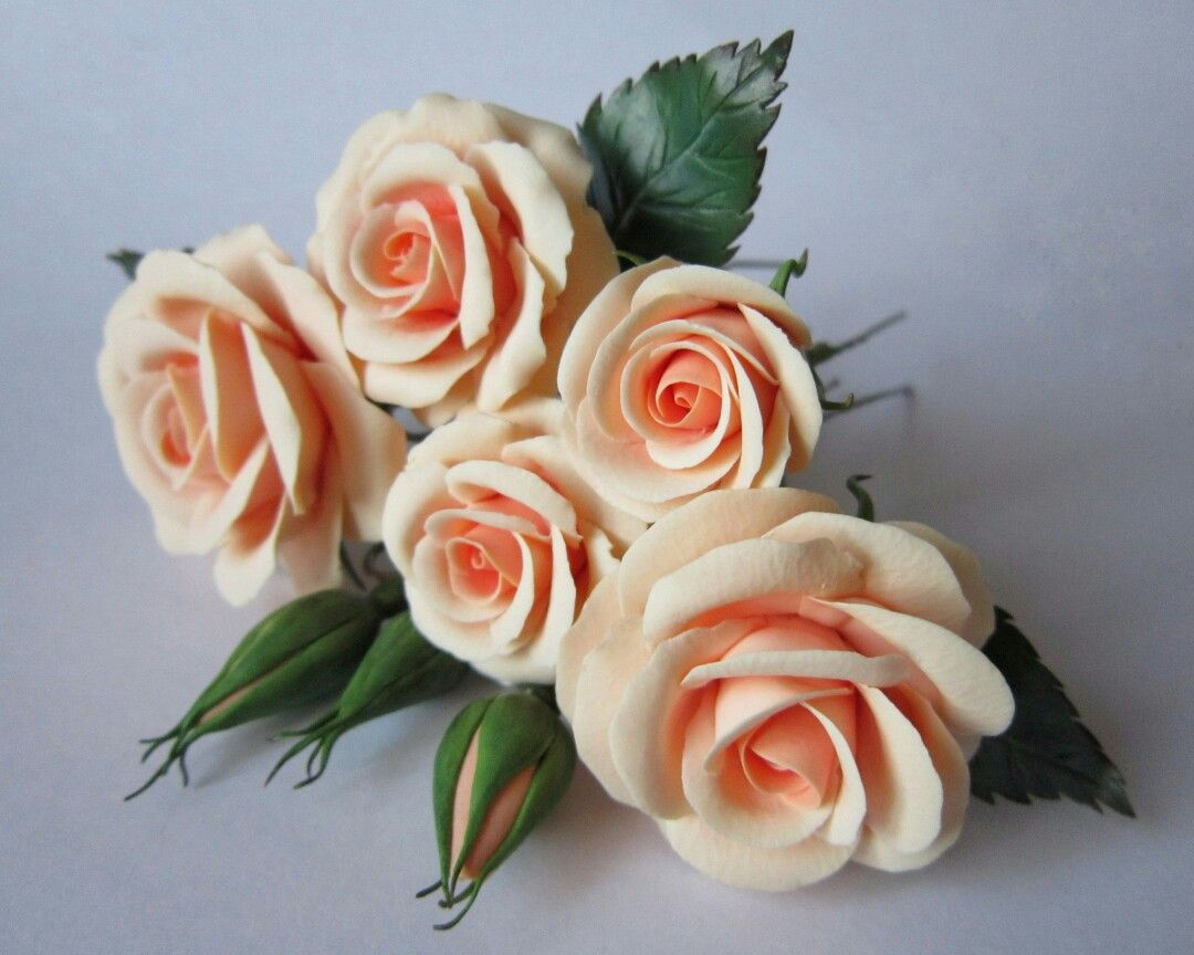 ���� ������, ��� ����� ���� ����. ������� ������ �������������� �� ����������