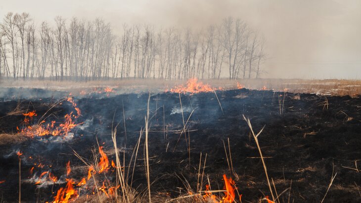 ����������� ����� ������� �� ����� ������� ���� � ���������� �������