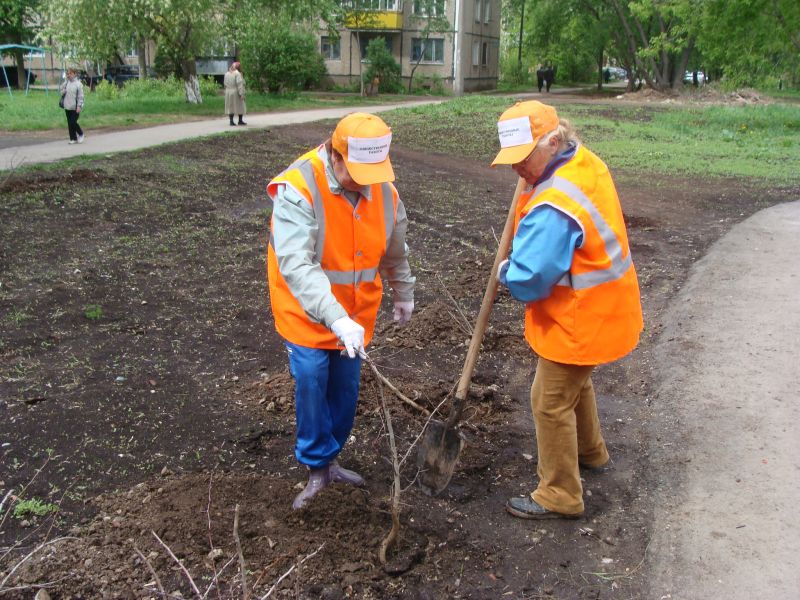 ������ ������������ ����� ��������� ��� ��������� ������������ ����� ������