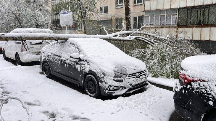 ��������� ������ ����������� ����������� �������� � ������