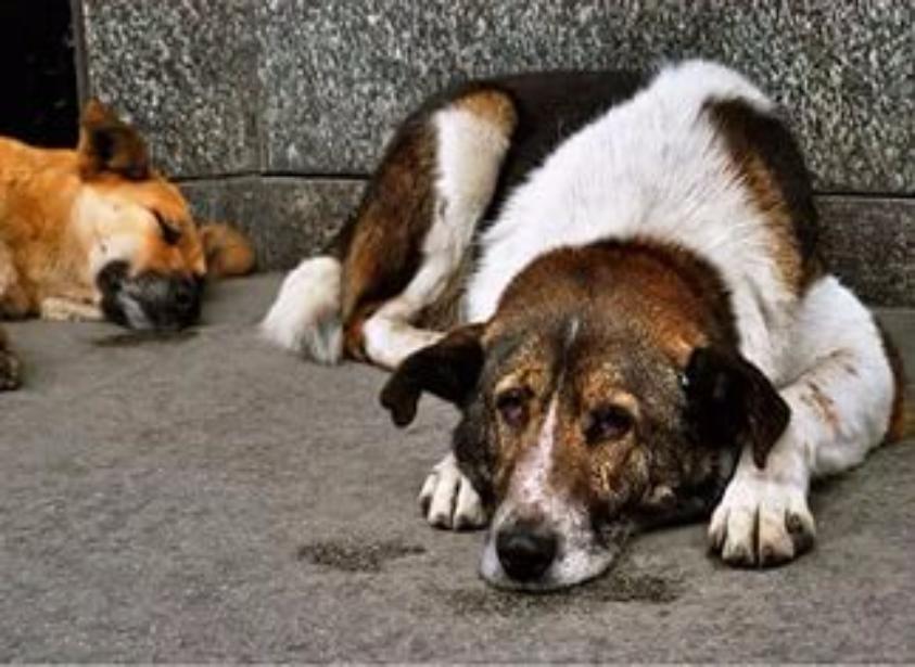 ����� ��������� ����� �������� � ������ � �����