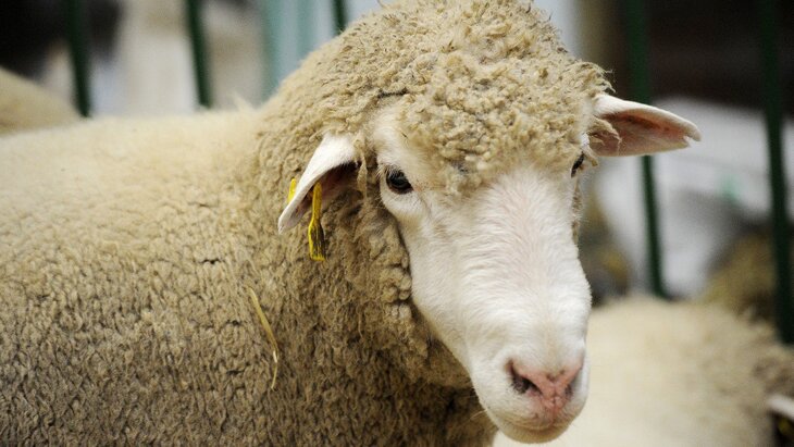 ������ ���������� �� ���������� ���� � ������ �������� �������� ����� � ������