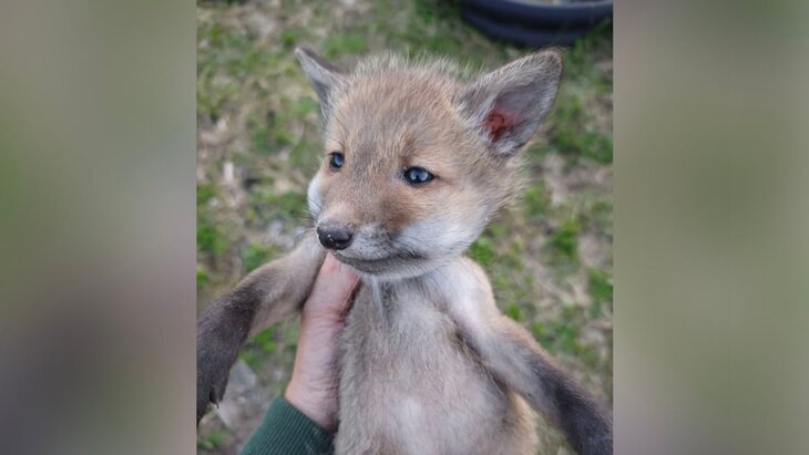 �������� ������� ���������� � ���� ����������