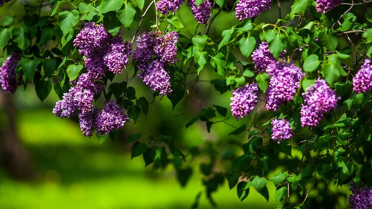 ����� ��������, ��� ����� ��������� ����� ������� �� ��������� ������