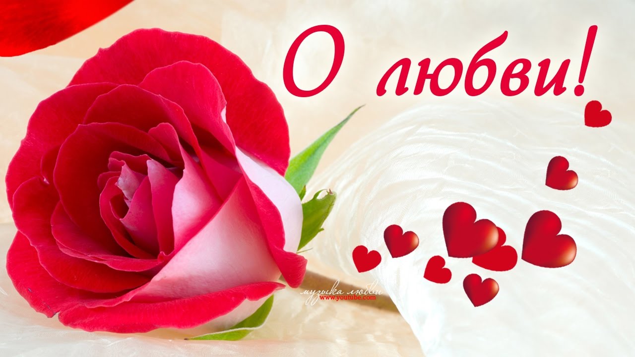 ����� � ����� � �������