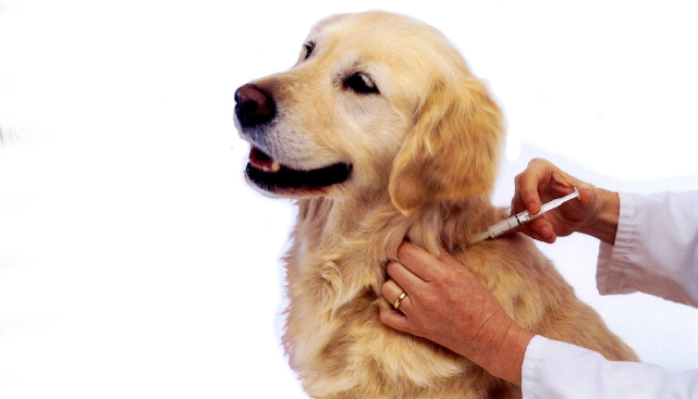 ���������� ���������� ������ ��������� � 1 �������� 2015 ����