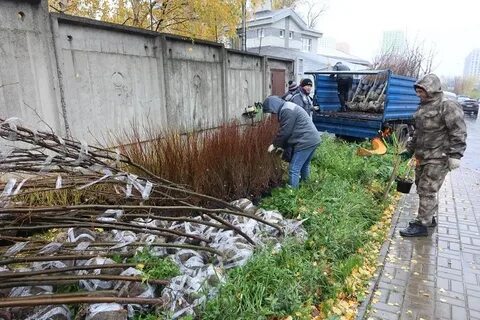 �������� ���� ���� � ����������