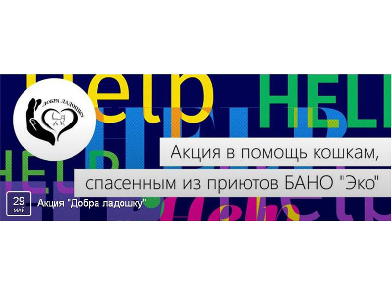 ������� ������ ������� ���������� �� ����������������� ����� ������ �������