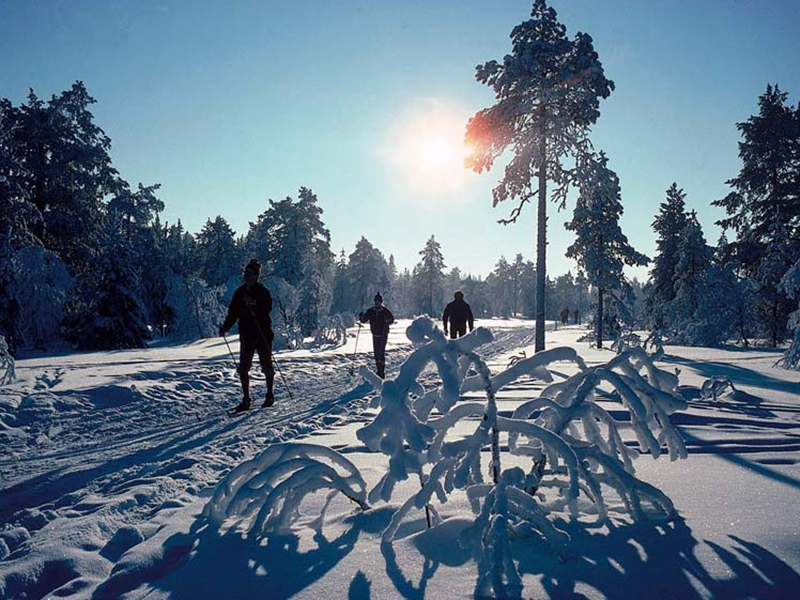 ���������� ������ ������� ���������� ������� ������� � ������������� ������� ����� �������� �����