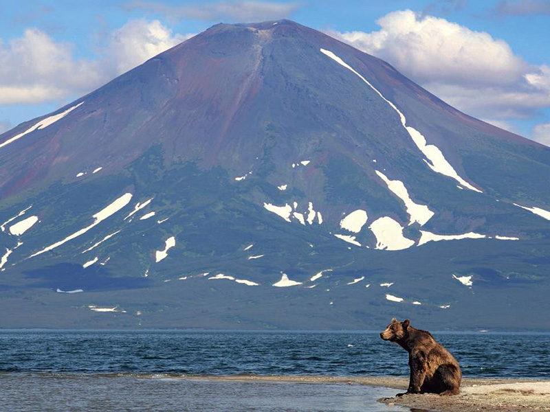 ������  ���������� ������ ������� ��������� �� ��������