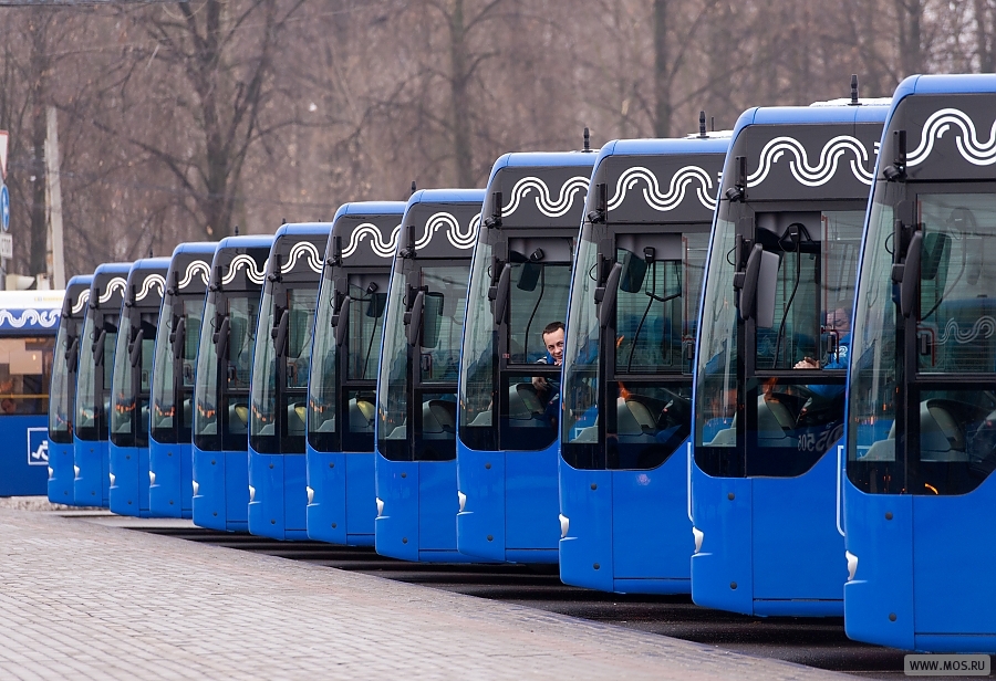 �������: � ��������� ���� ��������� ������ ������ �� ����������� ��������