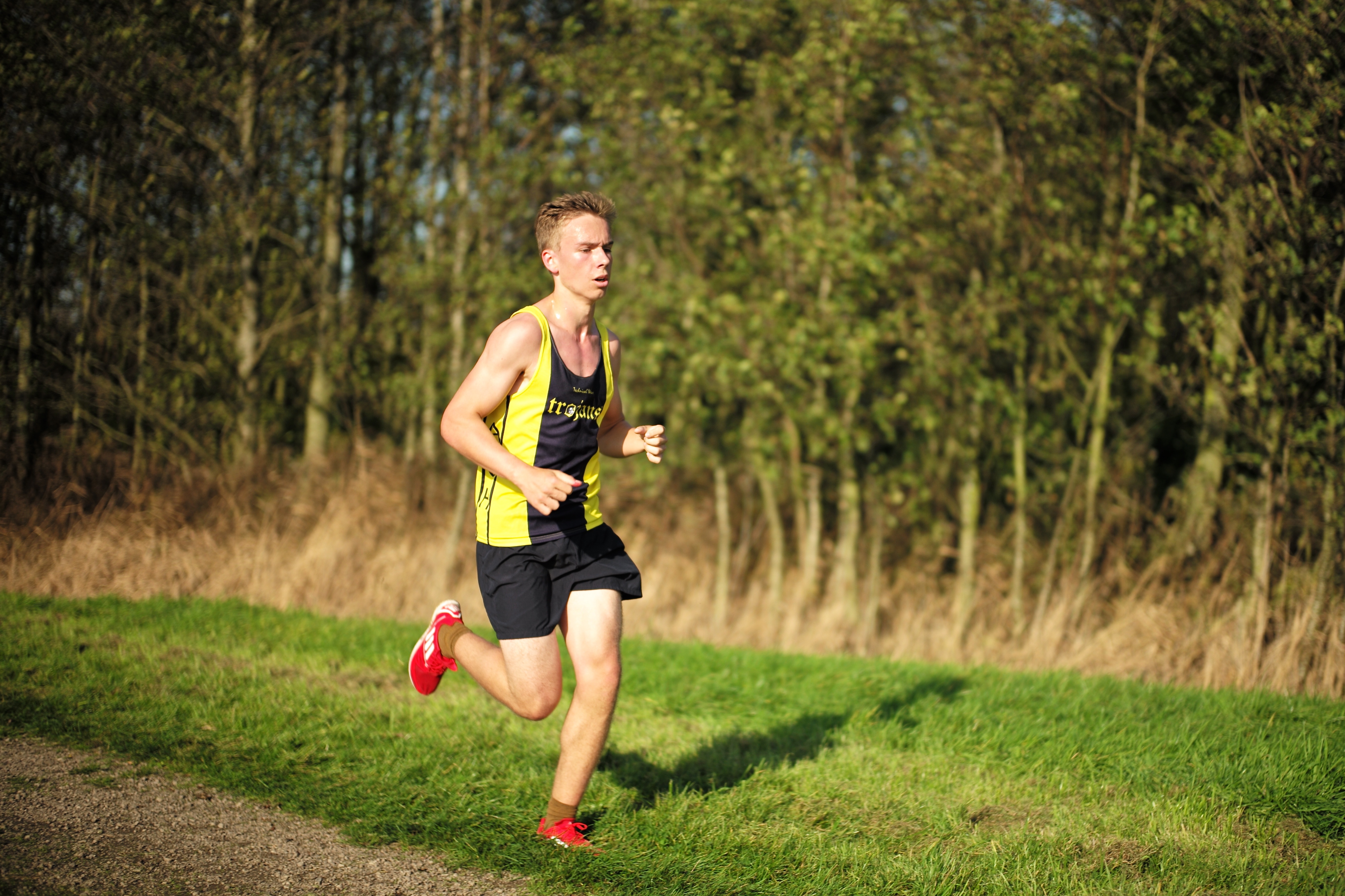 ������� ����������������