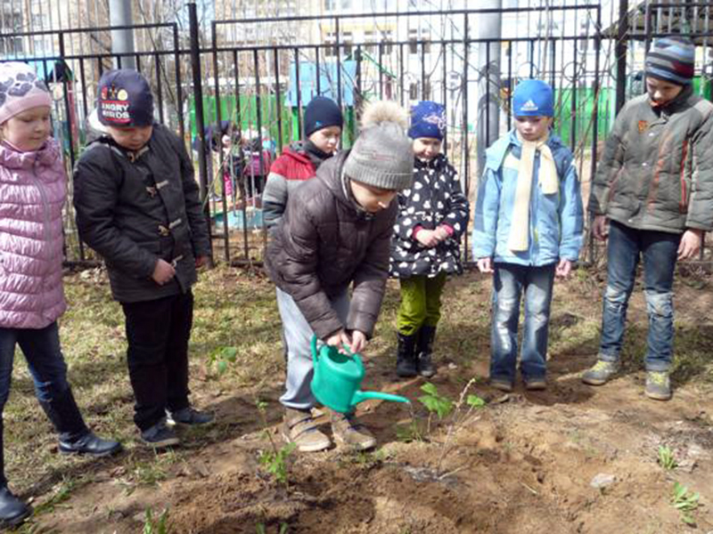 � ���������� ��������� �������� �1576 ������ ������� ���������� ������������� �����