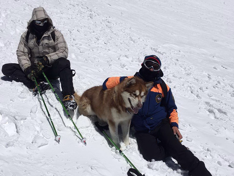 ��������� ��������� �������� ���� �������