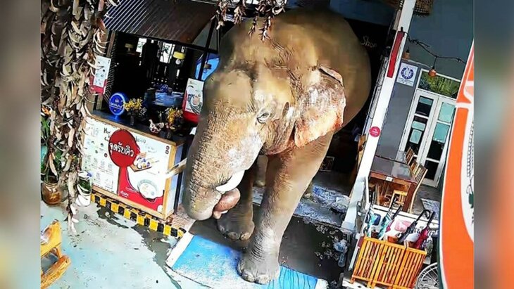 ����� ���� � ������� ��� ��������� ������������ �������� � ��������