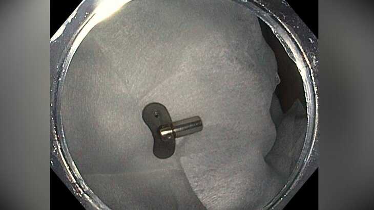 ������������ ����� �������� �� ��������� ������� ���� �� �������� �������