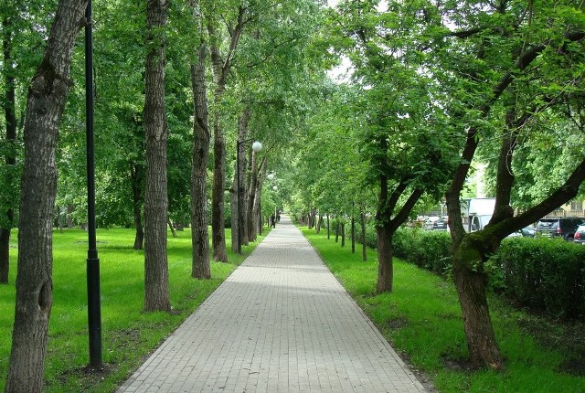 �������� ����� ������� ����� �������