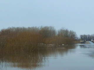 �������� ������� "���� �� ����"