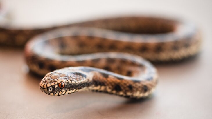 ����������� �� ����� ����������� ������� ���� ��������� � �������� � ���