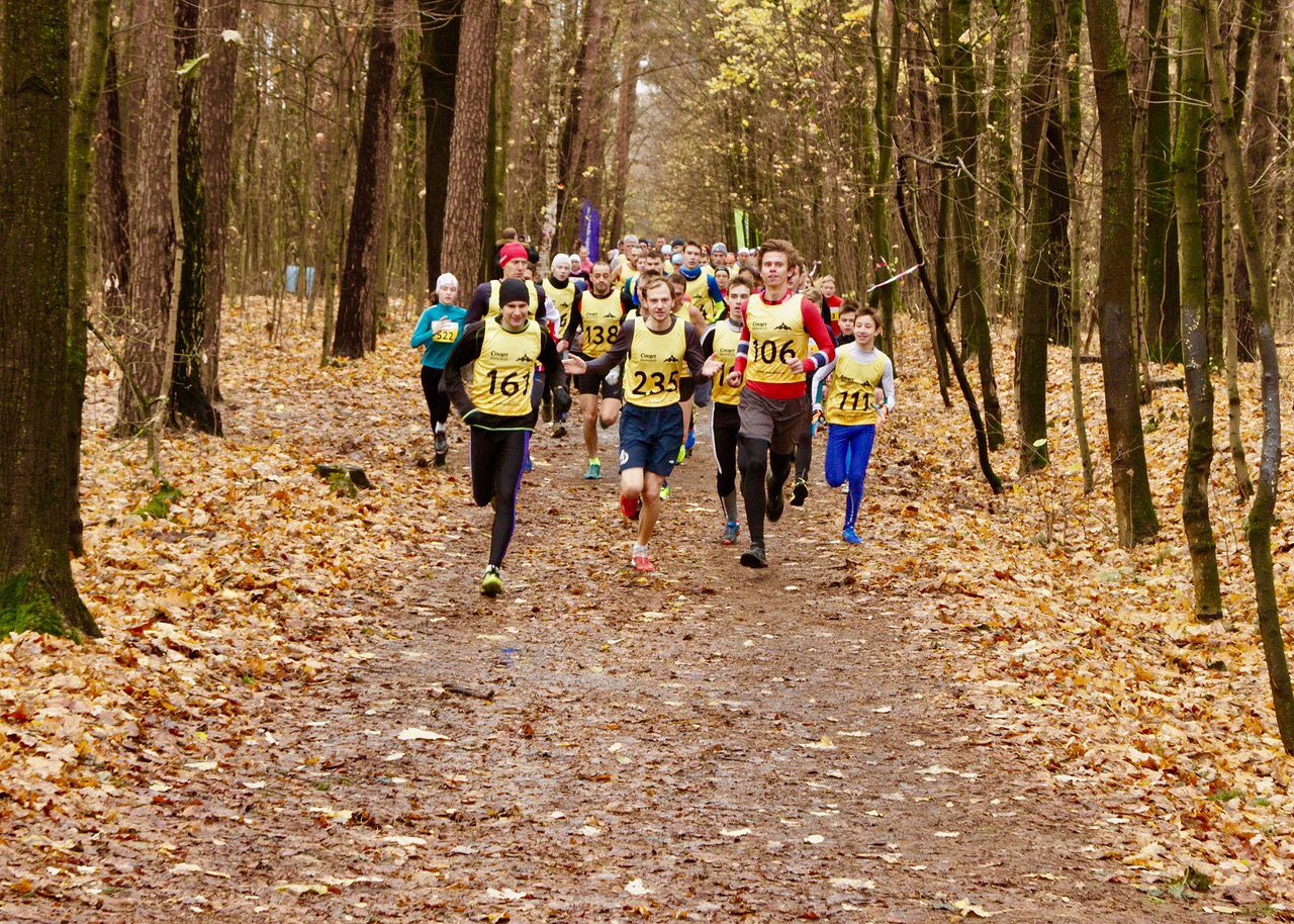 ����������: ������� �����