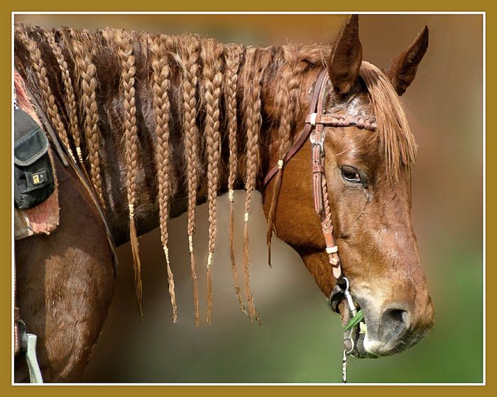 � ������� ��������-�������� ����� ����������� �������