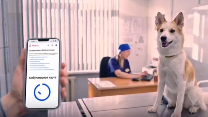 ������� ������ ����� �������������� ������ ������������ "��� �������"