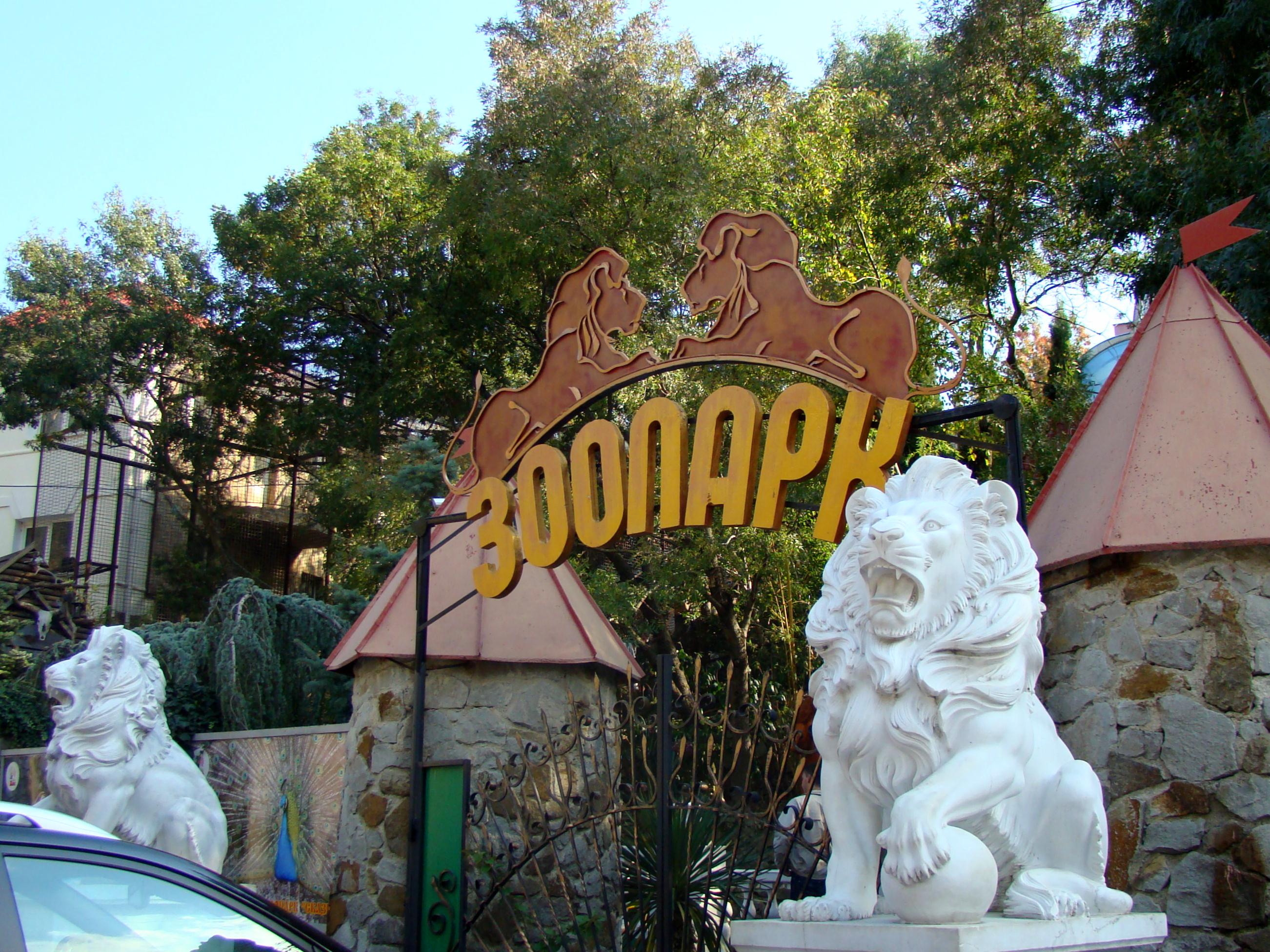 � ����� ������ ��������� ������ ����������� �������� 