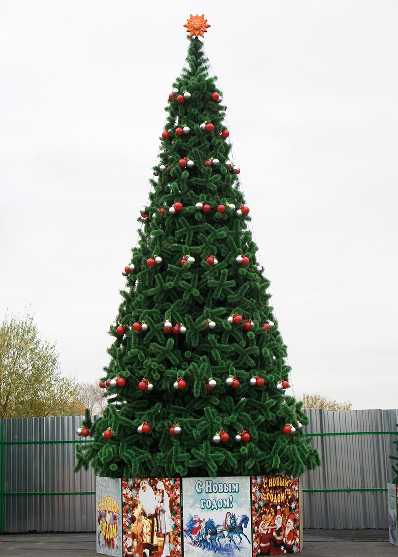 ����, �����, ���������