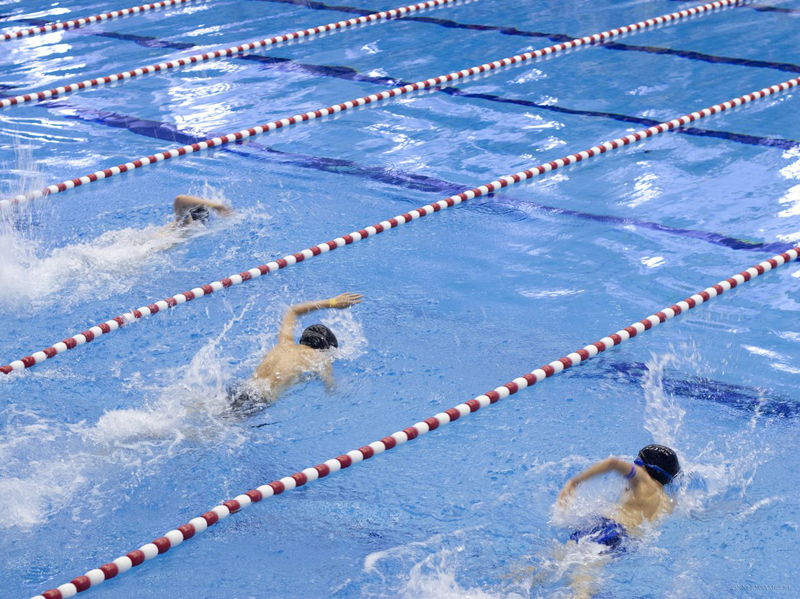 � ������ ������� ��������� �������� ������������ �� ��������