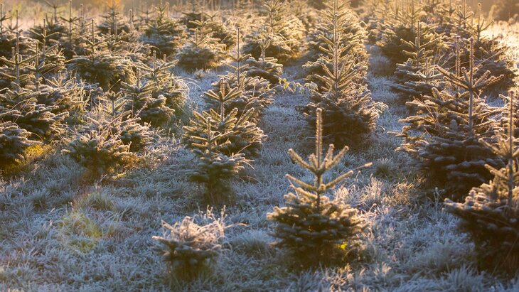 ��� ������������ � ���������� �� ����� 6 �������� � ���������� �������