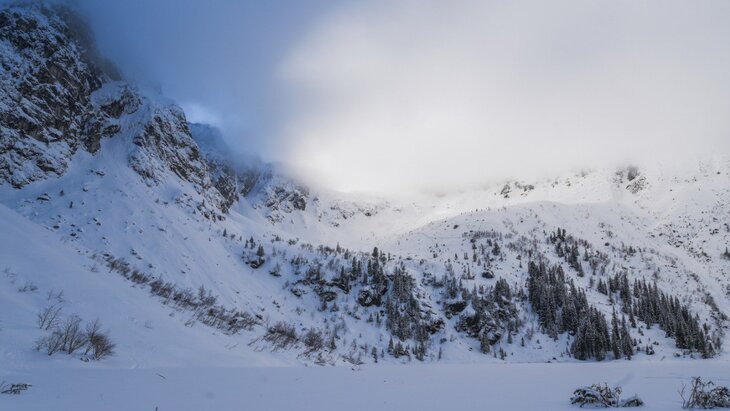 ��������� ������������ 40 ������� �� ���������� ������� �������� � ������ � ���