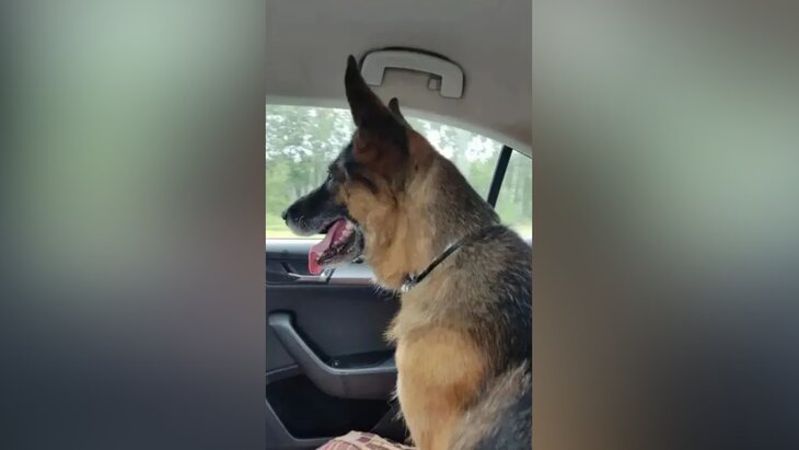 ��������� ������� ����� ������ �� ������ ������ ����� ��� ��� ������� ���������