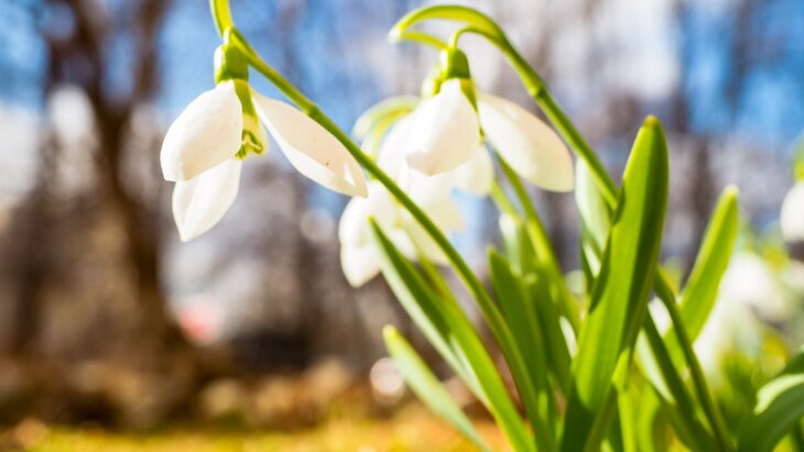 ����������� �������� � ���������� ������� ������ �����