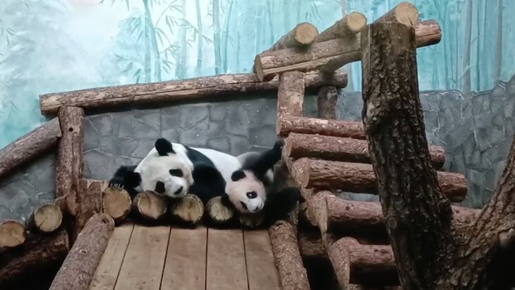 ����� 40 ��� ������� �������� ����� ������ � ������ ���