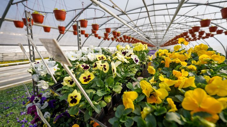 ������� 4,6 ��� �������� ����� ������� �� ������ � ������