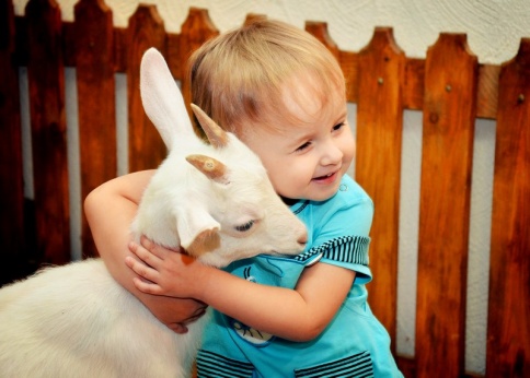 ���������� �������