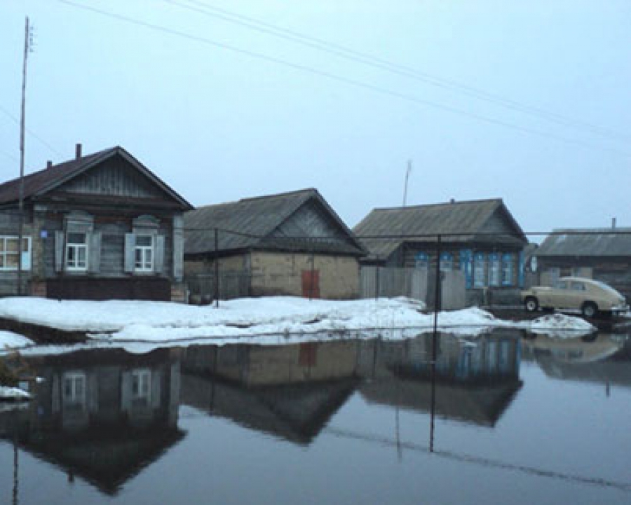 � ���� ���������� ����������� ����� ������� 8 ���������� ������� �����