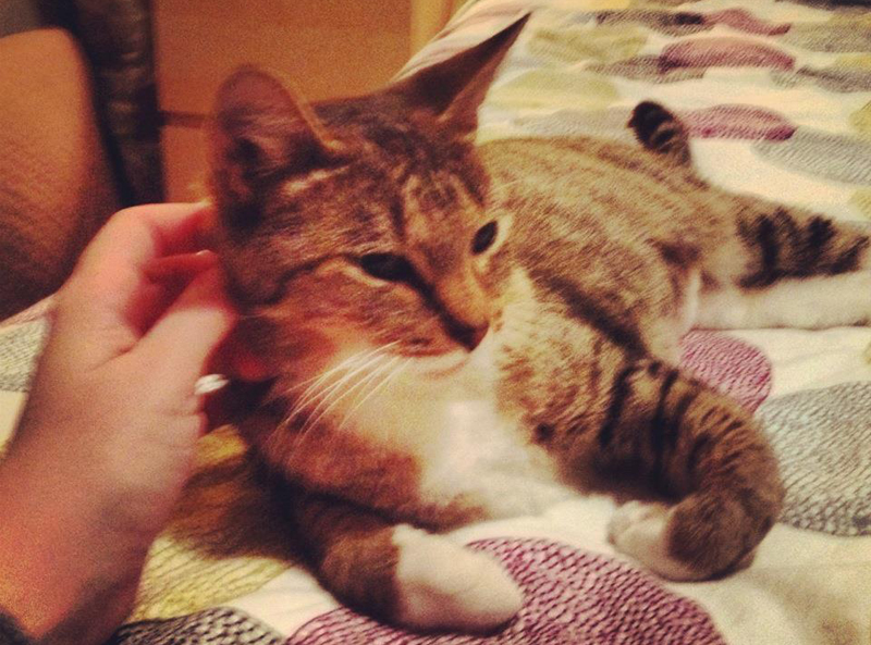 ������ � �������� ��������������� ����� ���������� � ������� ����������� ������������