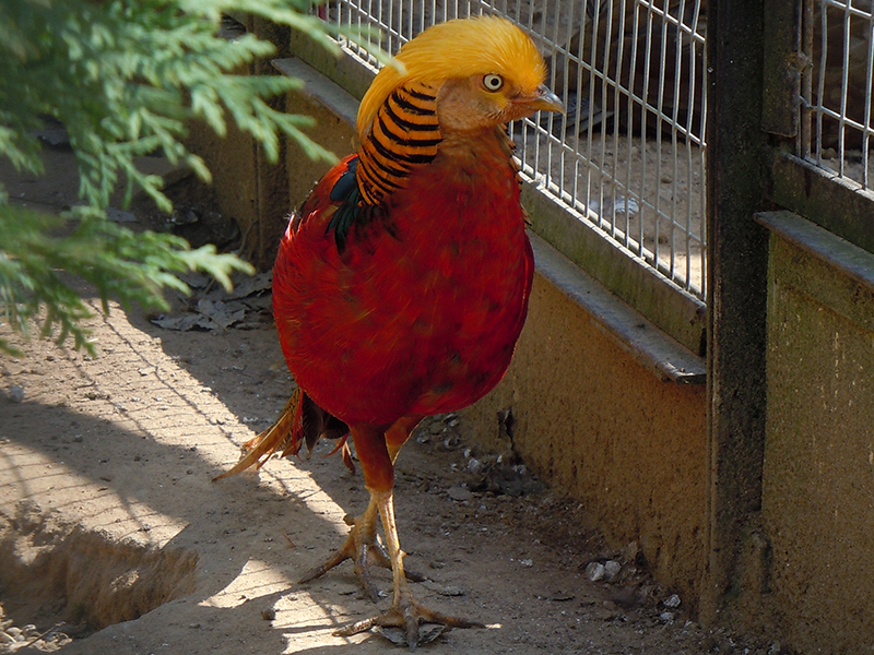 � ���������� �������� ��������� ����� ���������